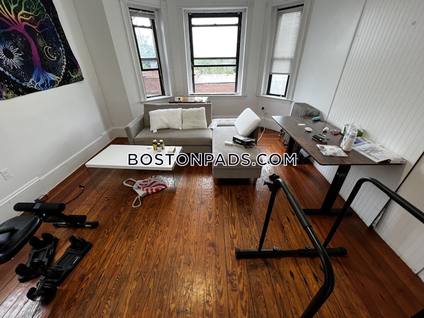 BOSTON - FORT HILL - 4 Beds, 1 Bath - Image 3