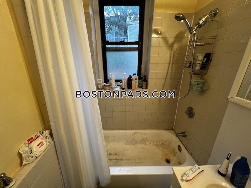 BOSTON - FORT HILL - 4 Beds, 1 Bath - Image 26