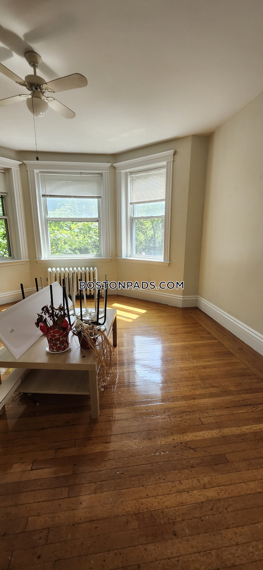 BROOKLINE- BOSTON UNIVERSITY - 1 Bed, 1 Bath - Image 10