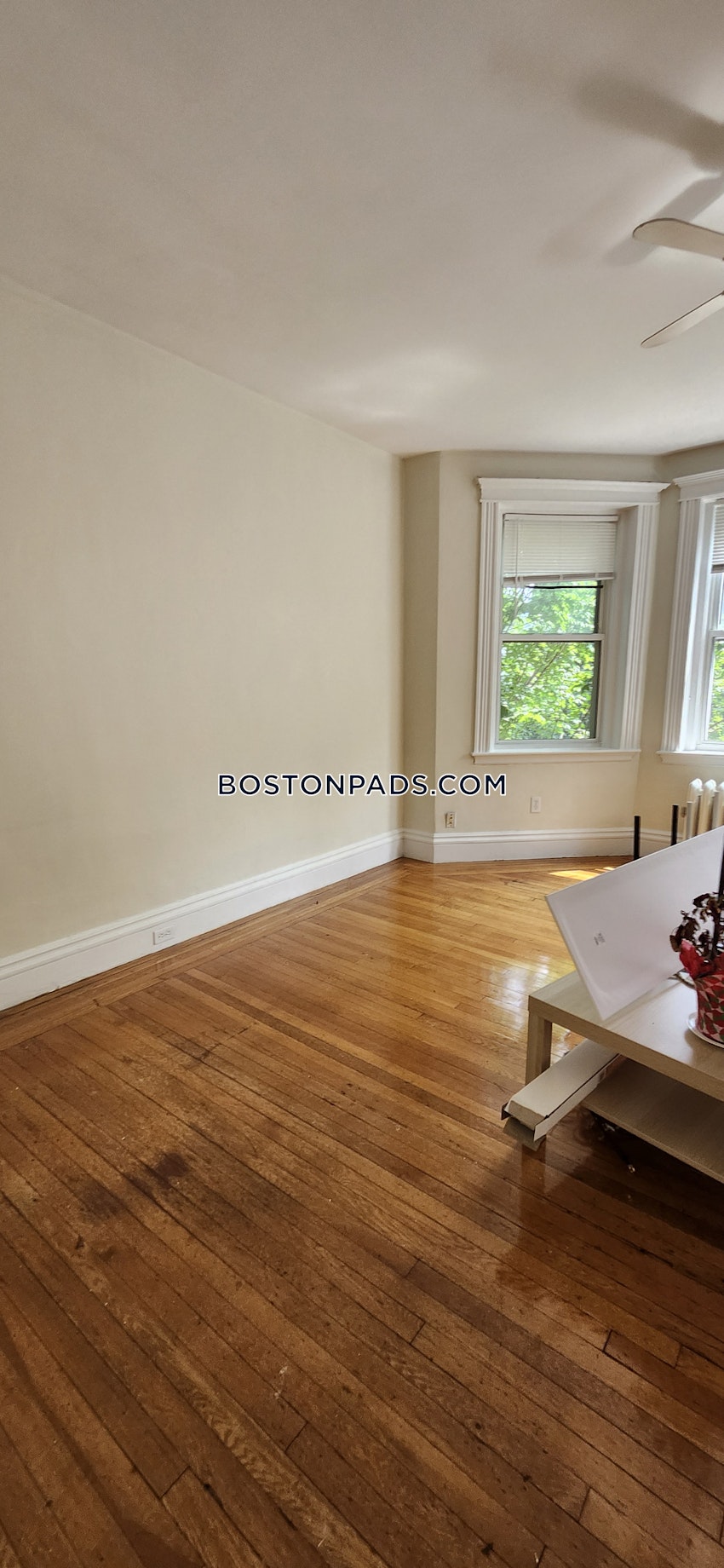 BROOKLINE- BOSTON UNIVERSITY - 1 Bed, 1 Bath - Image 9