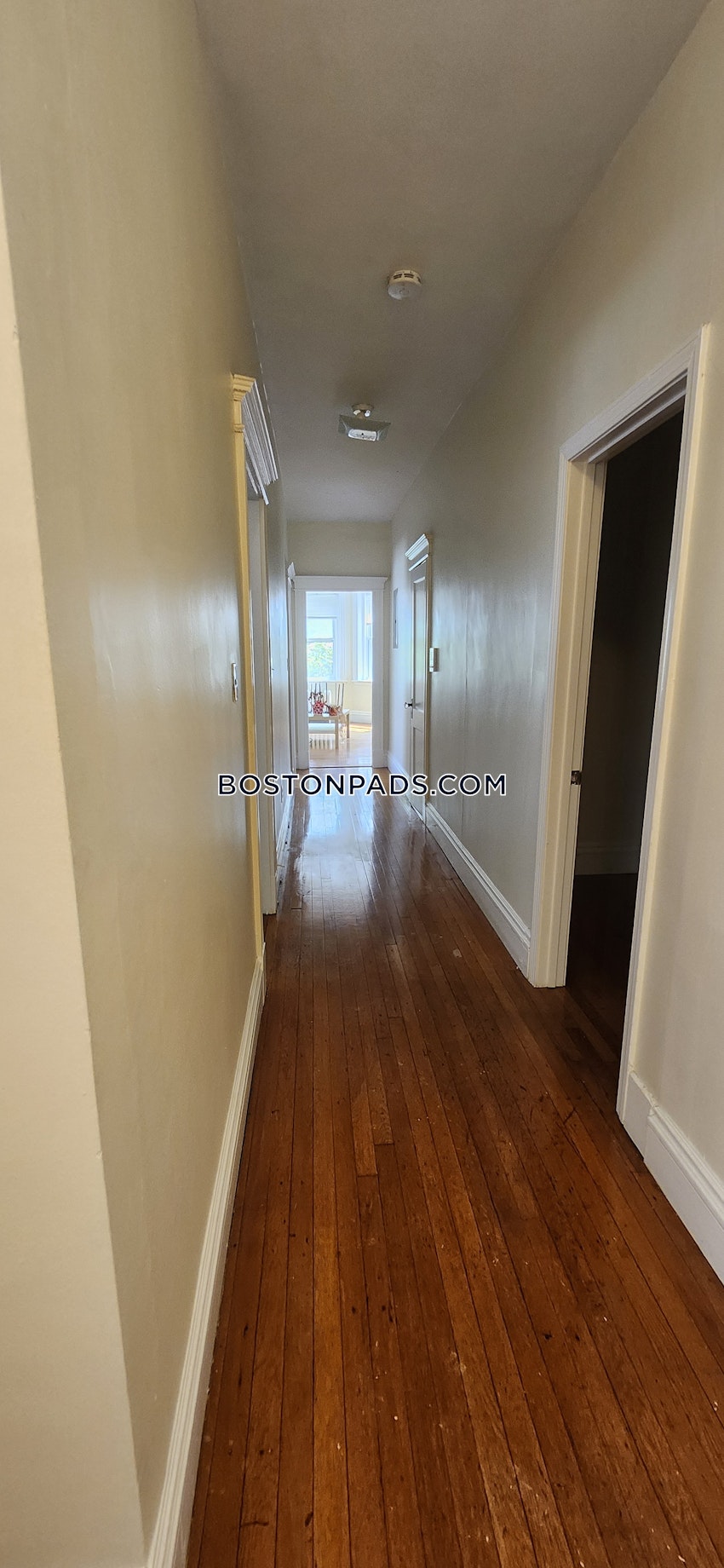 BROOKLINE- BOSTON UNIVERSITY - 1 Bed, 1 Bath - Image 6