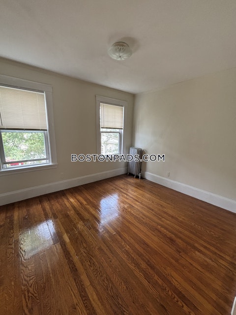 Summer St. Somerville photo 8