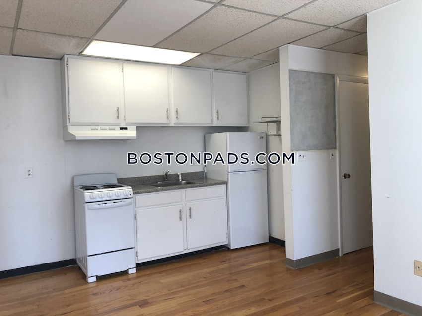 BOSTON - BRIGHTON - CLEVELAND CIRCLE - 1 Bed, 1 Bath - Image 2