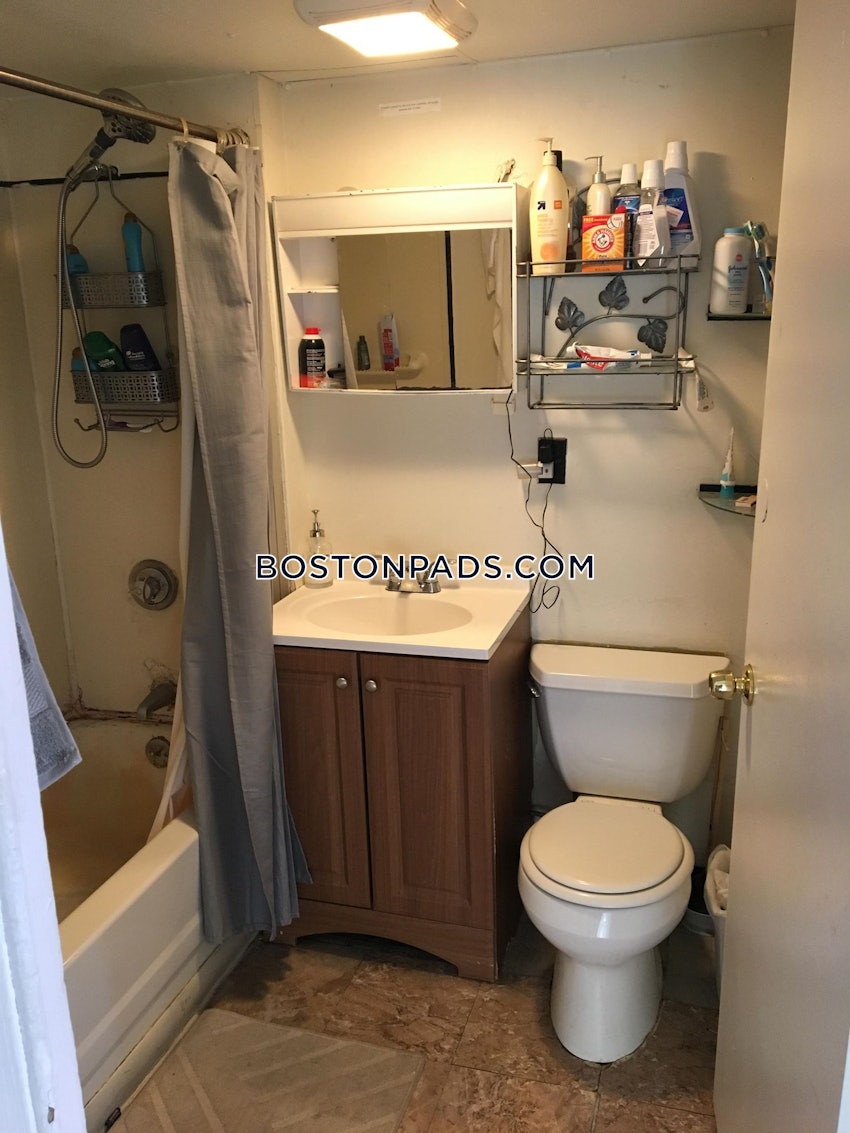 BOSTON - LOWER ALLSTON - 4 Beds, 1 Bath - Image 10