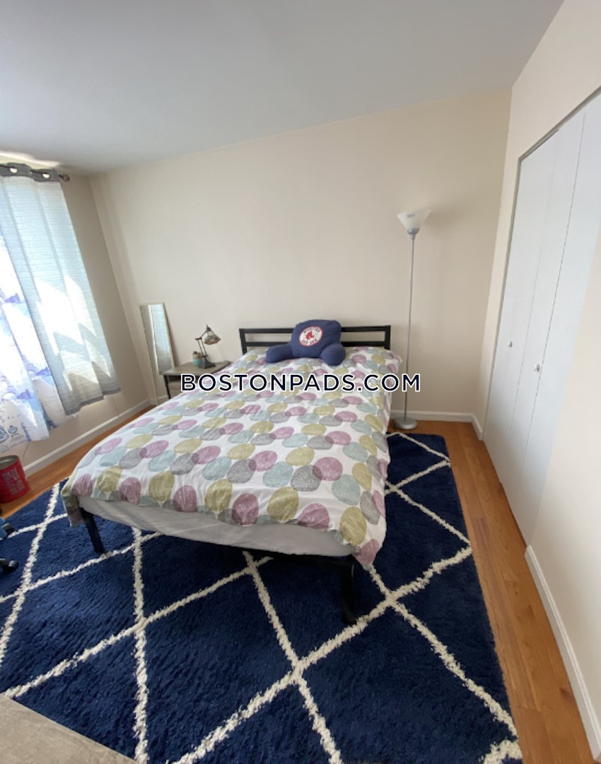 BOSTON - ALLSTON - 2 Beds, 1 Bath - Image 4