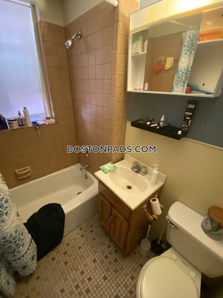 BOSTON - ALLSTON/BRIGHTON BORDER - 1 Bed, 1 Bath - Image 13