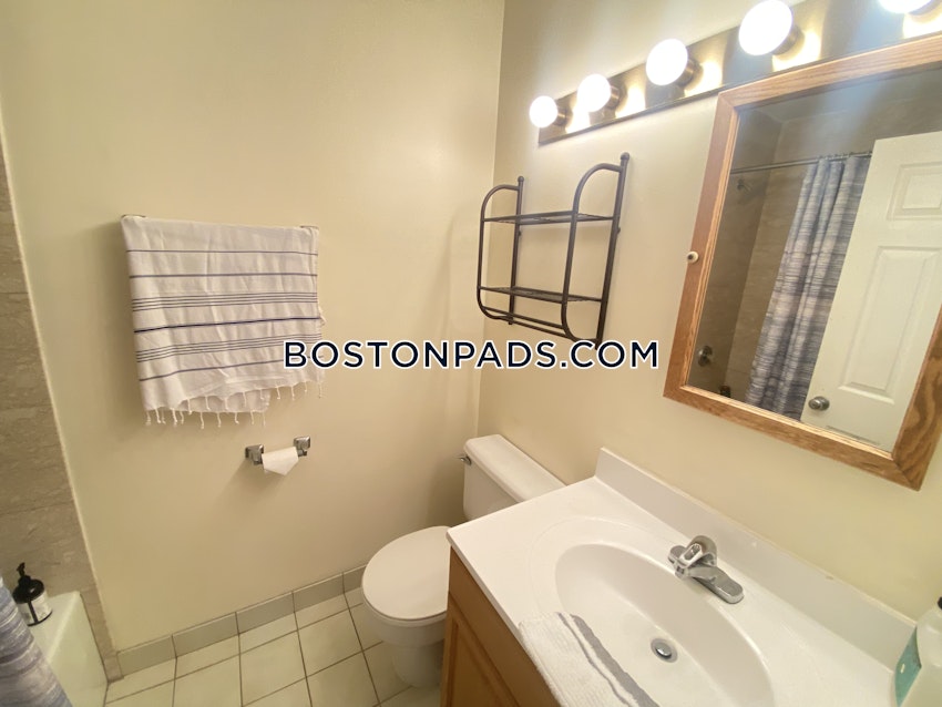 BOSTON - ALLSTON/BRIGHTON BORDER - 2 Beds, 2 Baths - Image 8