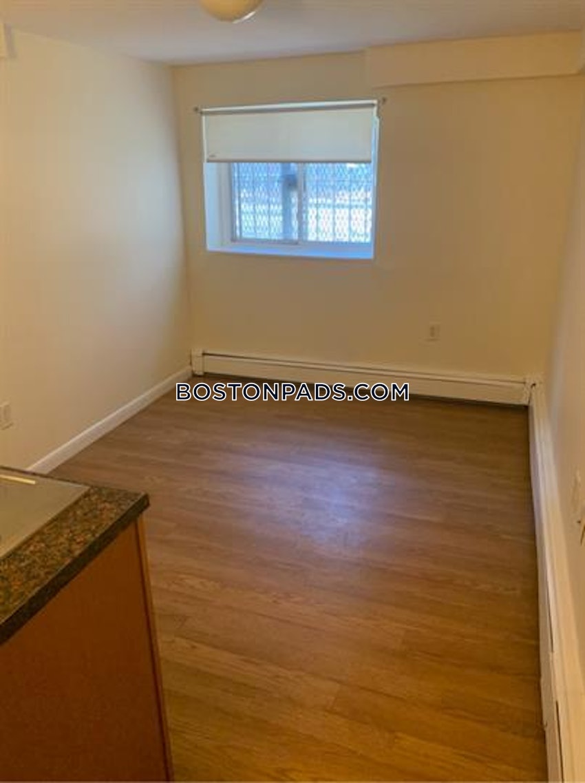 BOSTON - JAMAICA PLAIN - JAMAICA POND/PONDSIDE - Studio , 1 Bath - Image 3