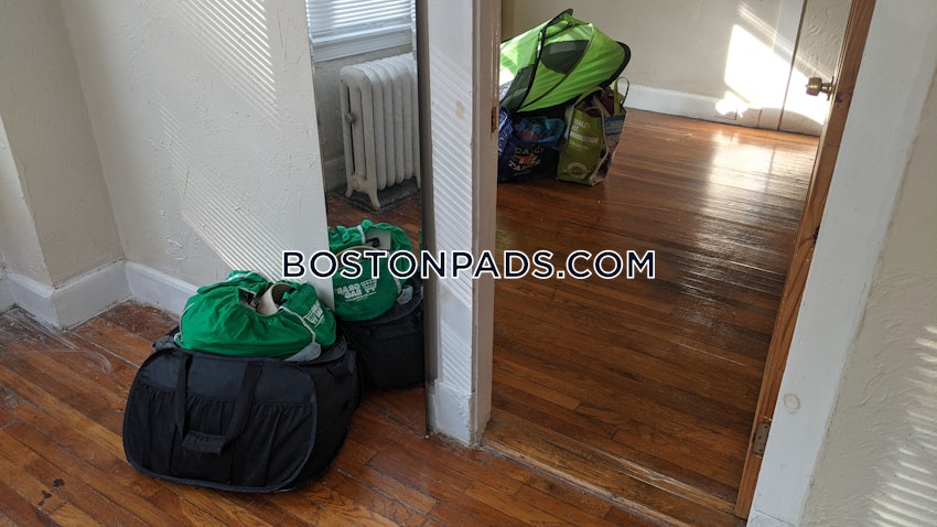 BOSTON - ALLSTON/BRIGHTON BORDER - 2 Beds, 1 Bath - Image 11