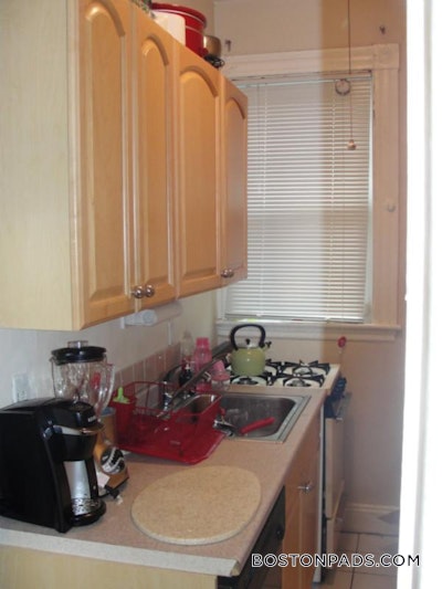 Allston 1 Bed 1 Bath Boston - $2,495 No Fee