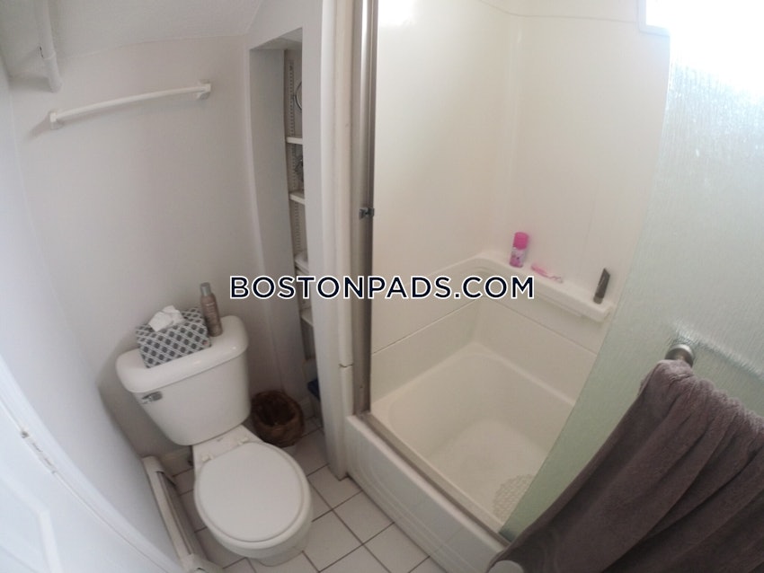 BOSTON - BRIGHTON - BRIGHTON CENTER - 1 Bed, 1 Bath - Image 22