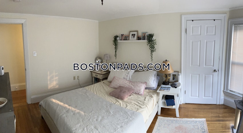 CAMBRIDGE - CENTRAL SQUARE/CAMBRIDGEPORT - 2 Beds, 1 Bath - Image 3