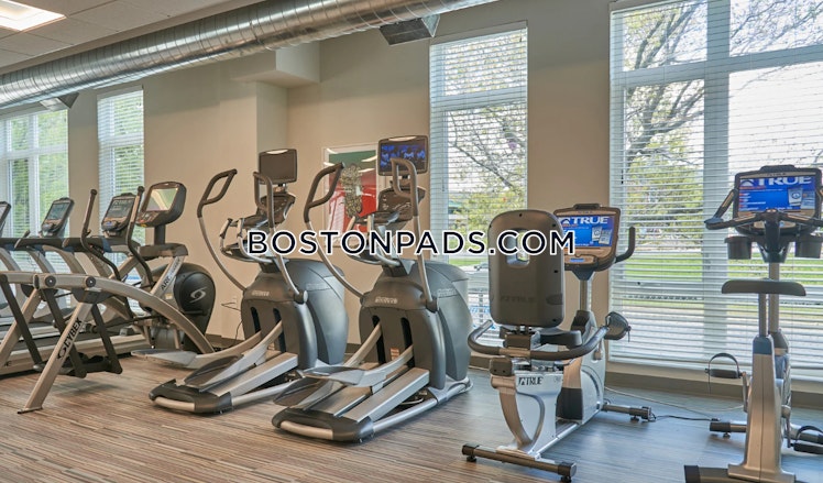 Morrissey Boulevard, Boston