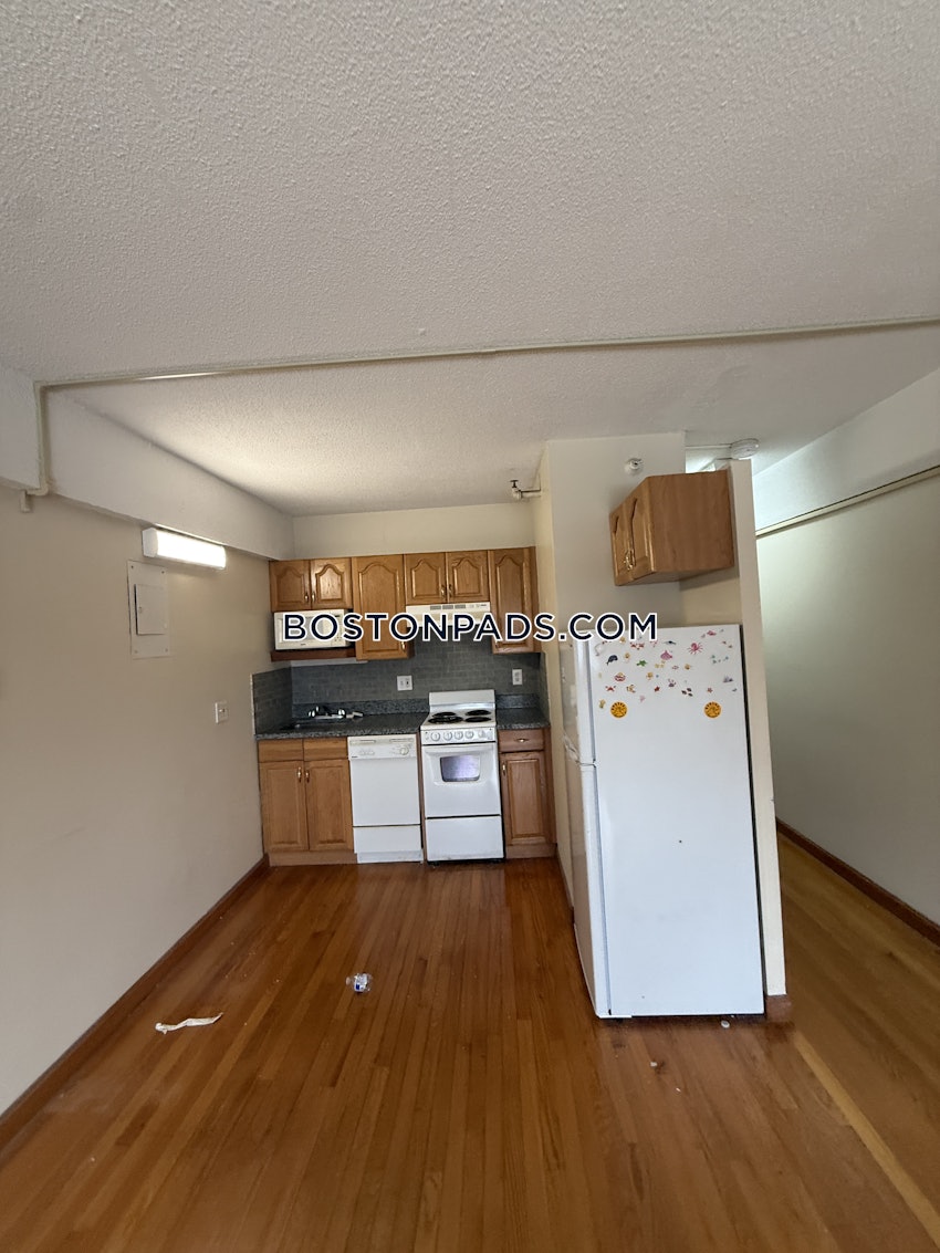 BOSTON - ALLSTON - Studio , 1 Bath - Image 6