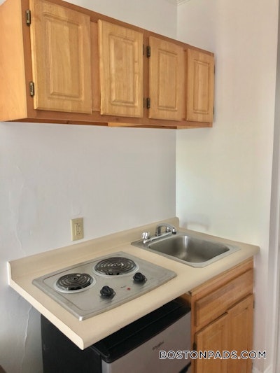 Brookline Studio 1 Bath  Longwood Area - $1,995 No Fee