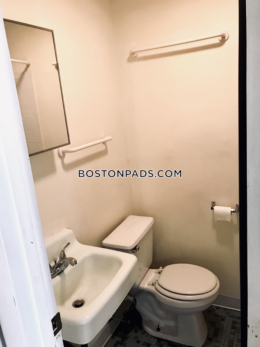 BOSTON - JAMAICA PLAIN - JAMAICA POND/PONDSIDE - Studio , 1 Bath - Image 4