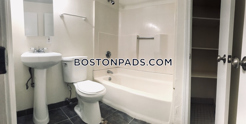 BOSTON - JAMAICA PLAIN - JAMAICA POND/PONDSIDE - 1 Bed, 1 Bath - Image 13