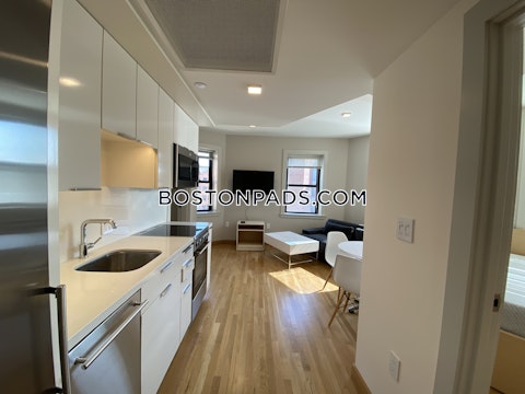 Mount Auburn St. Cambridge photo 15