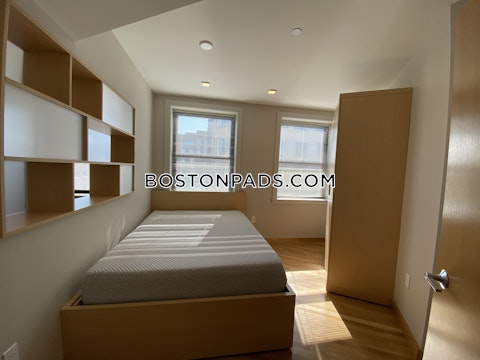 Mount Auburn St. Cambridge photo 14