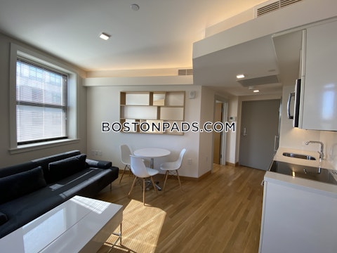 Mount Auburn St. Cambridge photo 13