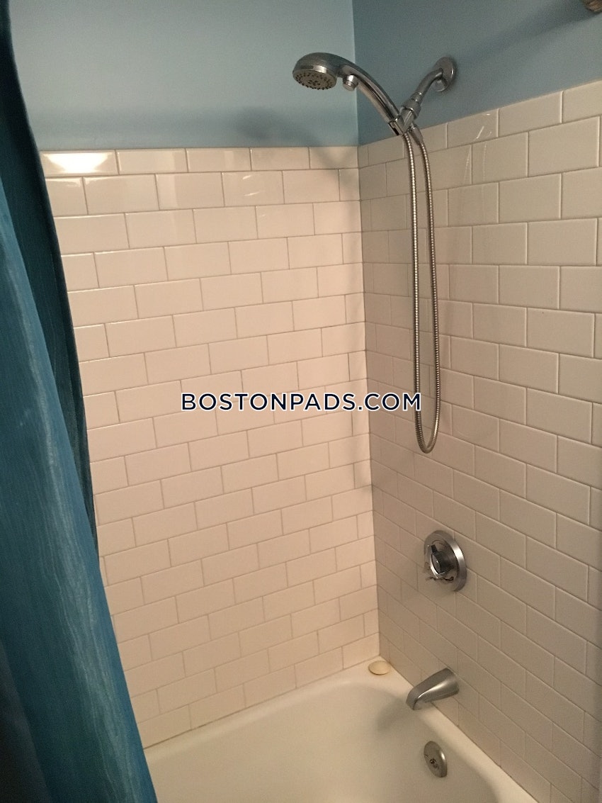 BOSTON - BRIGHTON - CLEVELAND CIRCLE - 1 Bed, 1 Bath - Image 8