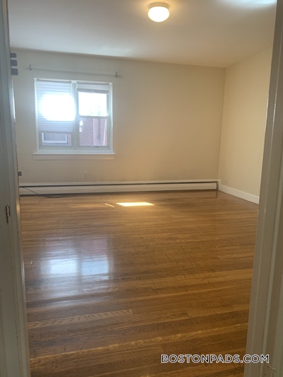 Brighton 2 Bed 1 Bath BOSTON Boston - $2,970