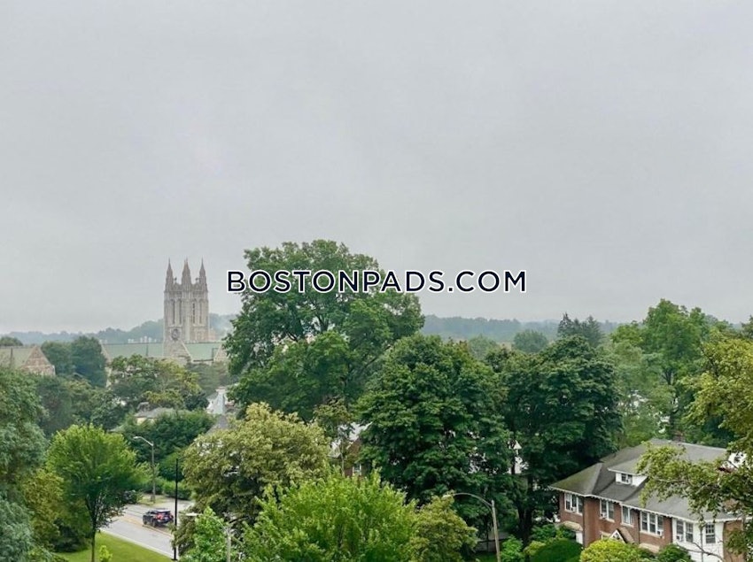 NEWTON - CHESTNUT HILL - 1 Bed, 1 Bath - Image 6