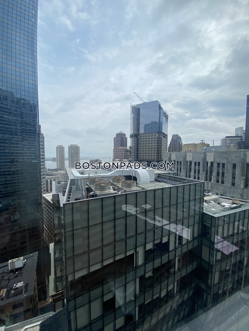 BOSTON - DOWNTOWN - 1 Bed, 1 Bath - Image 29