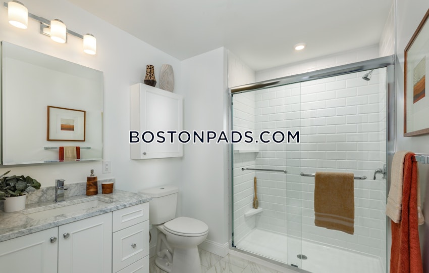 BROOKLINE - CHESTNUT HILL - 1 Bed, 1 Bath - Image 10