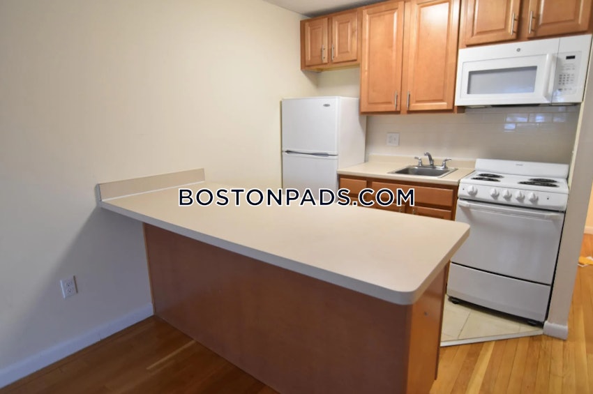 CAMBRIDGE - MT. AUBURN/BRATTLE/ FRESH POND - Studio , 1 Bath - Image 2