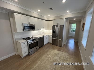 Brighton 2 Beds 1 Bath Boston - $3,175 No Fee