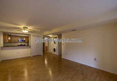 Franklin St. Cambridge photo 3