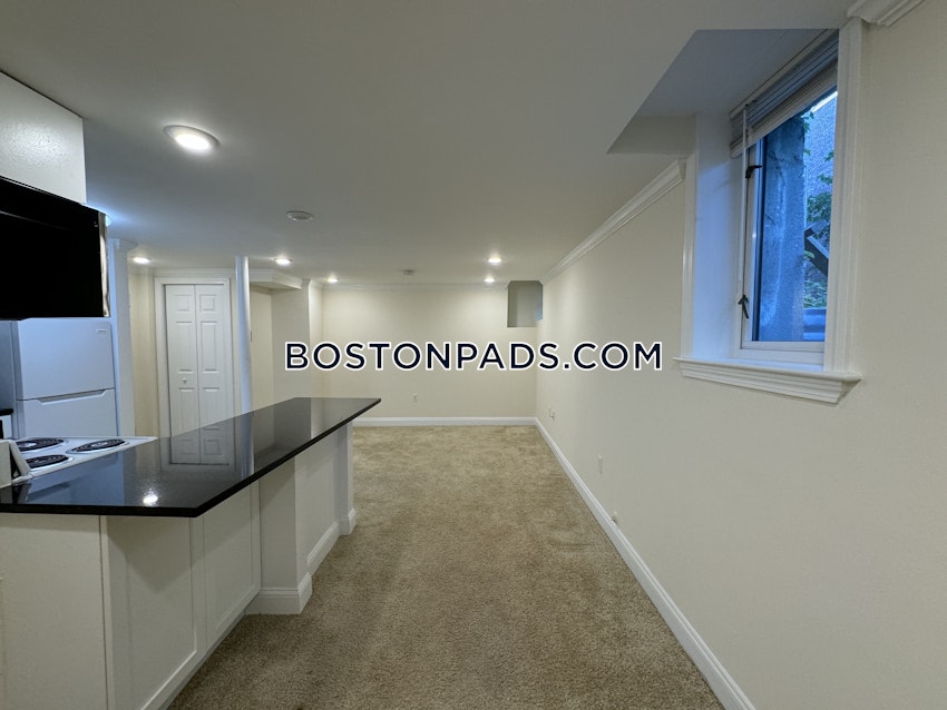 BOSTON - BRIGHTON - CLEVELAND CIRCLE - Studio , 1 Bath - Image 3