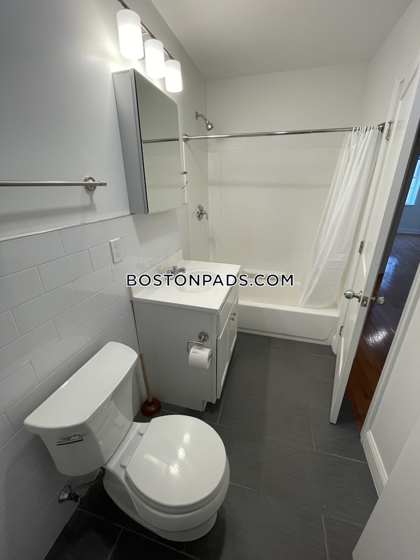 BOSTON - BRIGHTON - CLEVELAND CIRCLE - 1 Bed, 1 Bath - Image 12