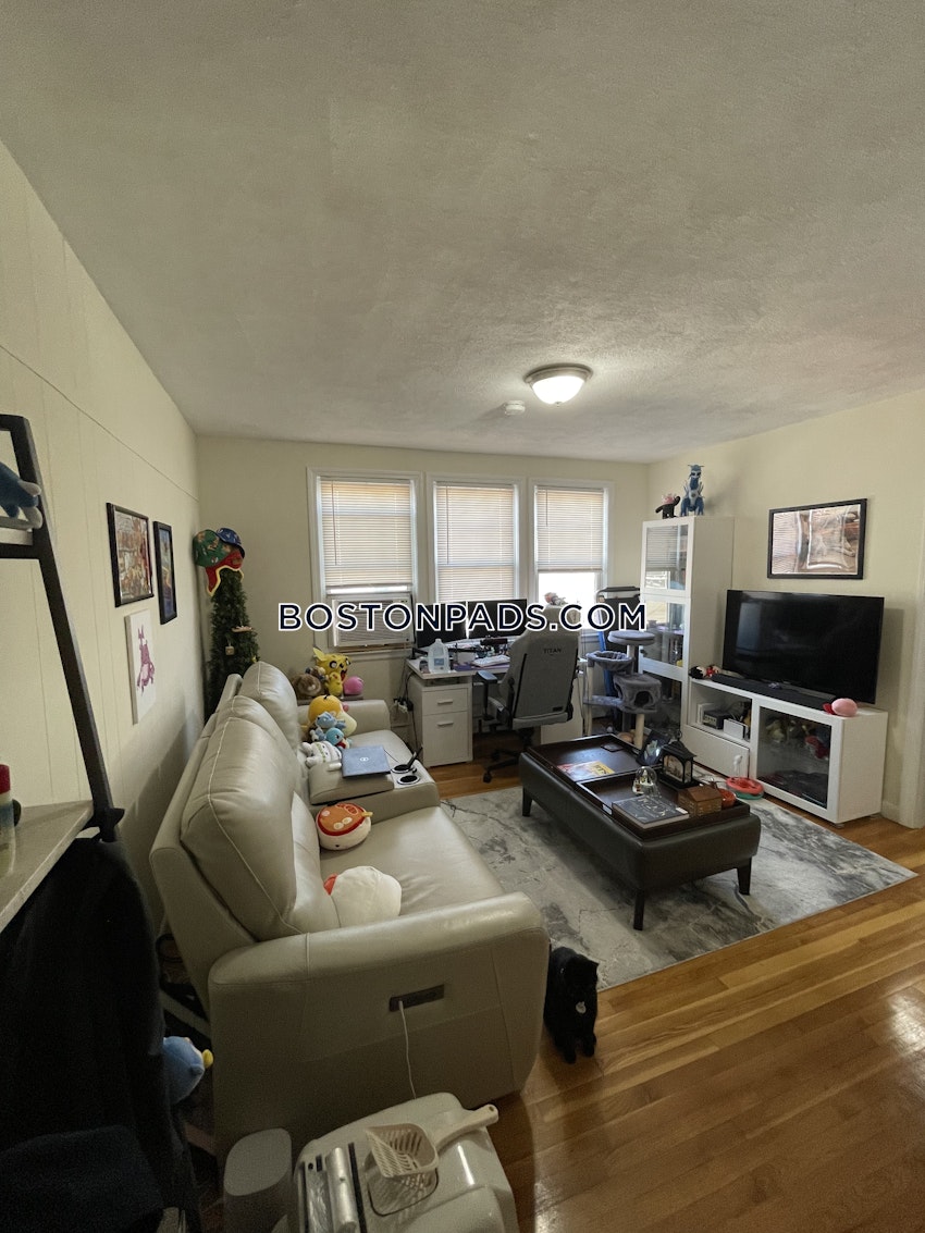 BOSTON - BRIGHTON - NORTH BRIGHTON - 1 Bed, 1 Bath - Image 2