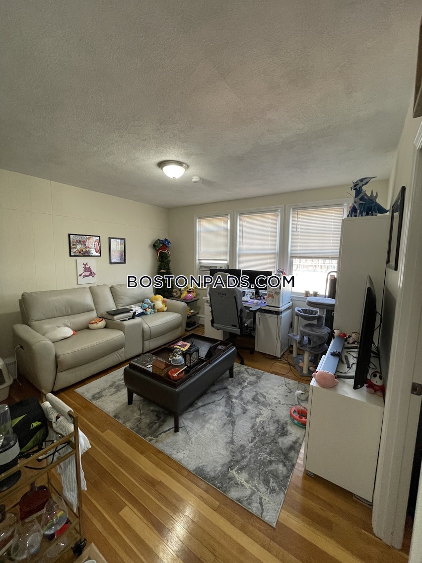 BOSTON - BRIGHTON - NORTH BRIGHTON - 1 Bed, 1 Bath - Image 3