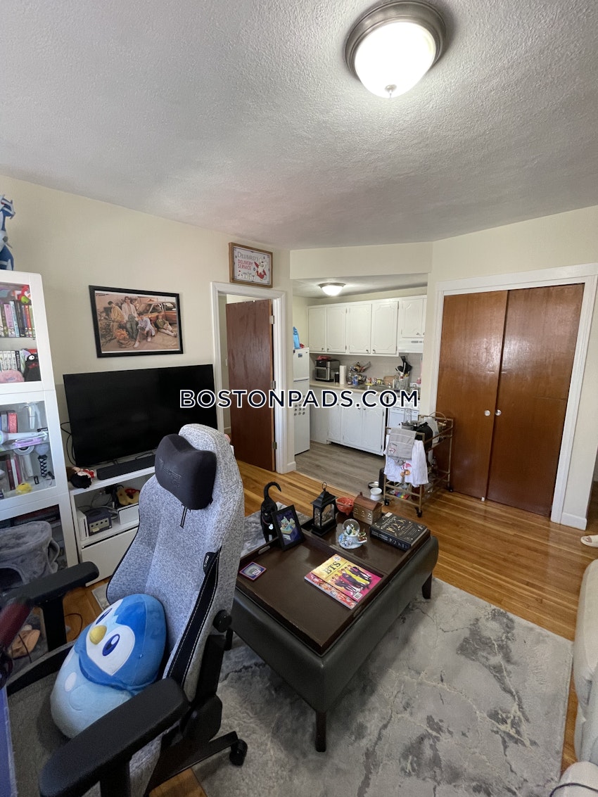 BOSTON - BRIGHTON - NORTH BRIGHTON - 1 Bed, 1 Bath - Image 5