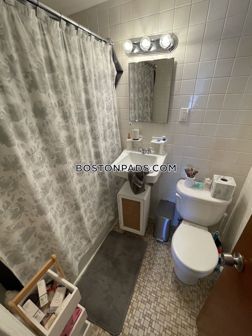 BOSTON - BRIGHTON - NORTH BRIGHTON - 1 Bed, 1 Bath - Image 8