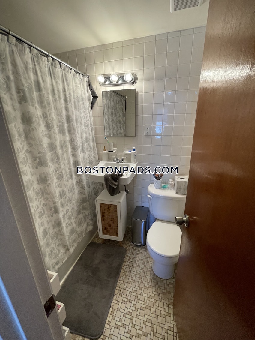 BOSTON - BRIGHTON - NORTH BRIGHTON - 1 Bed, 1 Bath - Image 9