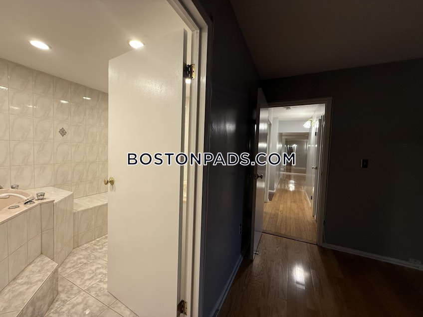Boston - $3,000+ /month