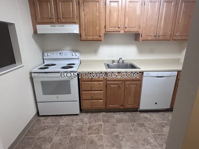 Cambridge 1 Bed 1 Bath  Mt. Auburn/brattle/ Fresh Pond - $2,075 No Fee