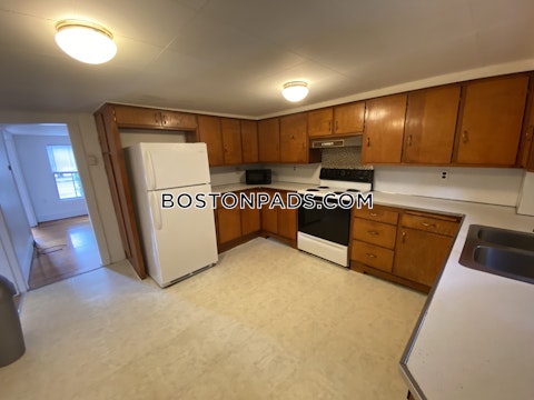 Mount Auburn St. Cambridge photo 12