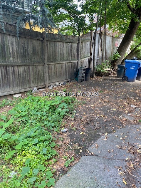 Mount Auburn St. Cambridge photo 6