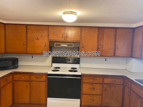 Mount Auburn St. Cambridge photo 15