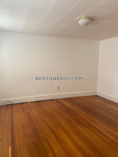 Mount Auburn St. Cambridge photo 18