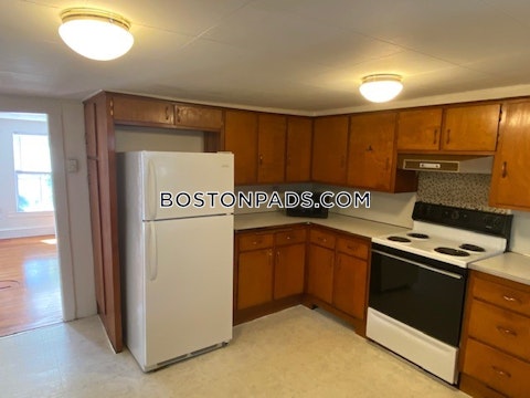 Mount Auburn St. Cambridge photo 17