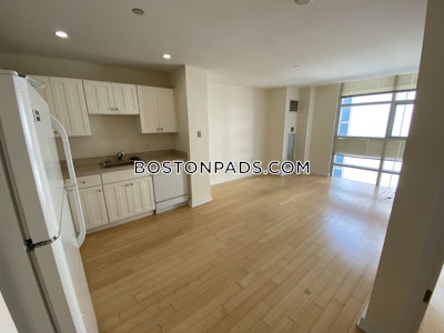 Downtown 1 Bed 1 Bath BOSTON Boston - $3,020 No Fee