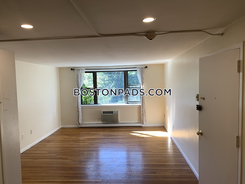 BOSTON - JAMAICA PLAIN - JAMAICA POND/PONDSIDE - 2 Beds, 1 Bath - Image 1