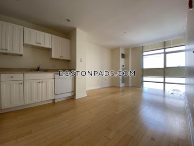 Downtown 1 Bed 1 Bath Boston - $3,020 No Fee