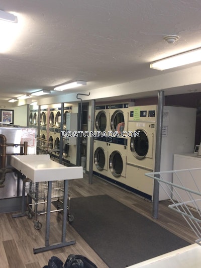 Mission Hill 2 Bed 1 Bath BOSTON Boston - $2,495 No Fee